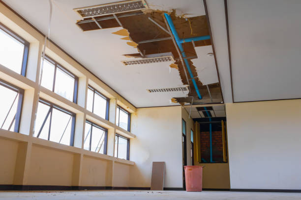  Kilauea, HI Water damage restoration Pros