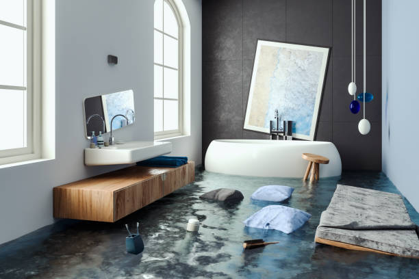 Best Mold removal after water damage  in Kilauea, HI
