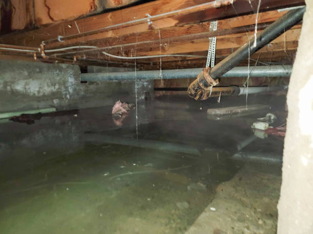Best 24/7 water damage repair  in Kilauea, HI