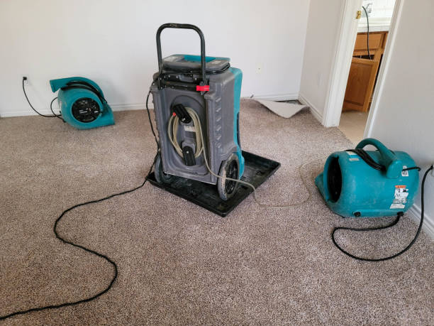 Local water damage restoration in Kilauea, HI