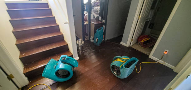Best Residential water damage restoration  in Kilauea, HI