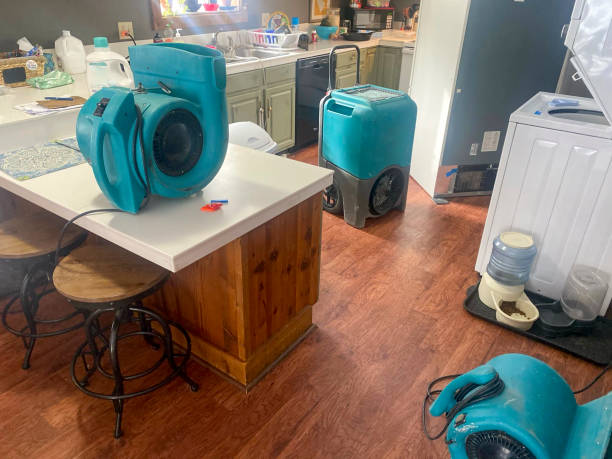 Best Ceiling water damage repair  in Kilauea, HI