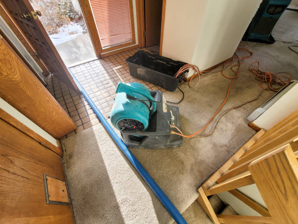 Reliable Kilauea, HI Water damage restoration Solutions