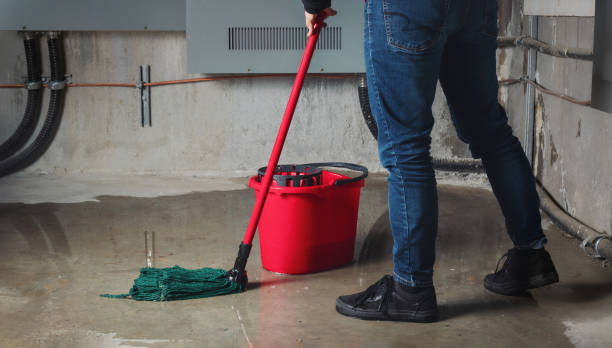 Best Ceiling water damage repair  in Kilauea, HI