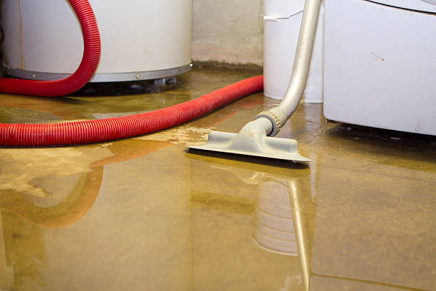  Kilauea, HI Water damage restoration Pros