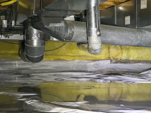 Best 24/7 water damage repair  in Kilauea, HI