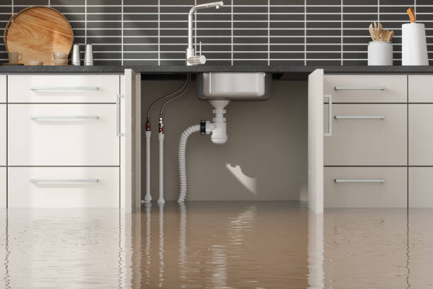 Best Flooded house restoration  in Kilauea, HI