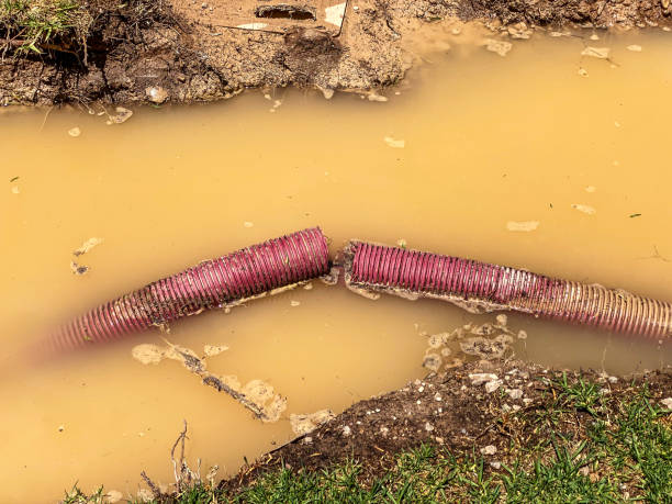 Best Water damage contractors near me  in Kilauea, HI