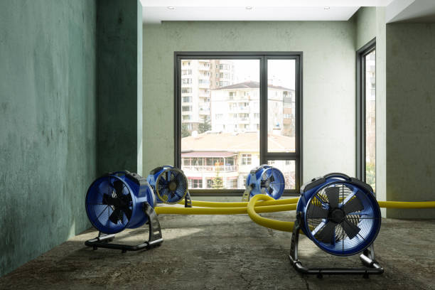 Best Water damage cleanup near me  in Kilauea, HI
