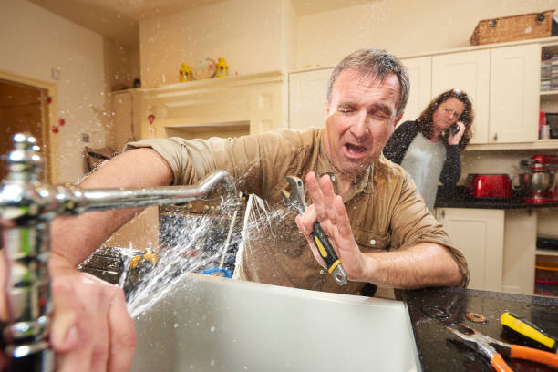 Best Ceiling water damage repair  in Kilauea, HI